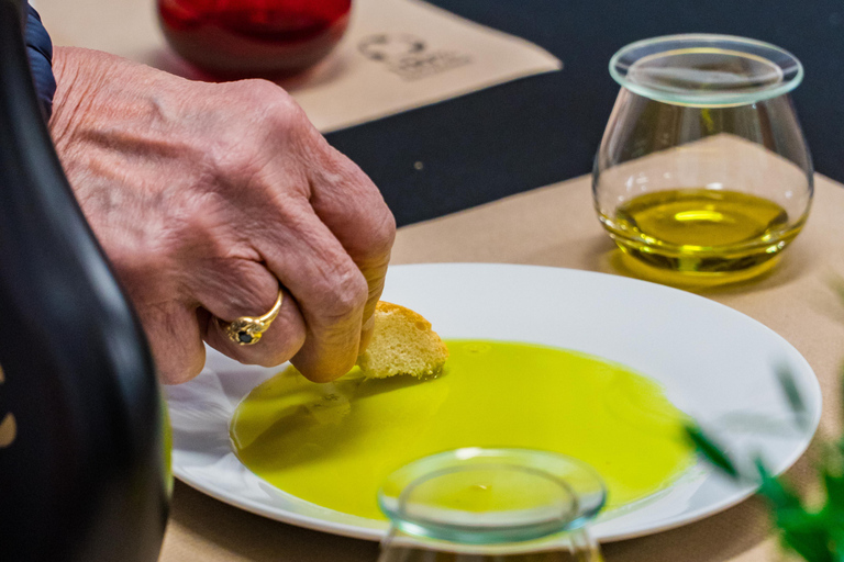 Jaén: Guided Olive Mill Tour with Olive Oil Tasting Visite Guidée du Moulin à Huile d'Olive