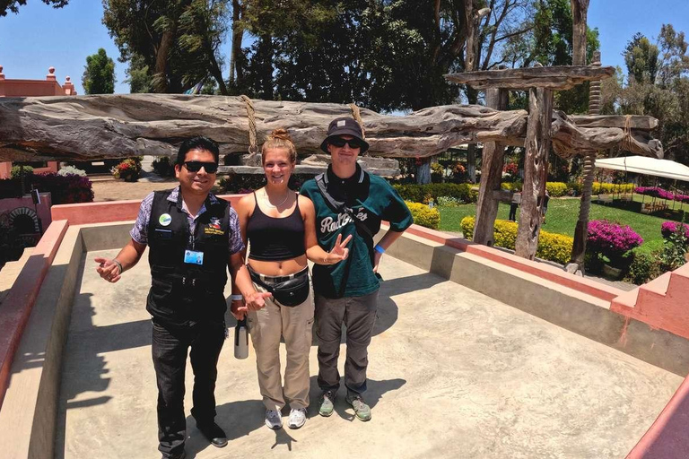 Experiencia de vino, pisco y buggy