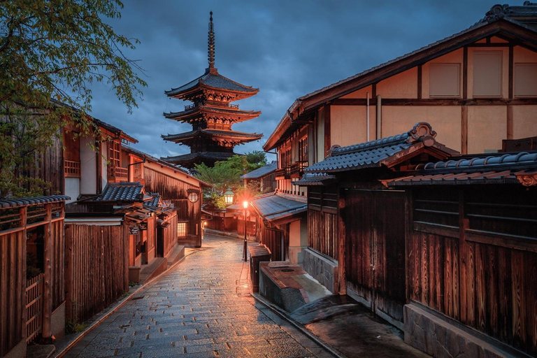 Osaka/Kyoto: Kyoto & Nara Private Sightseeing Tour