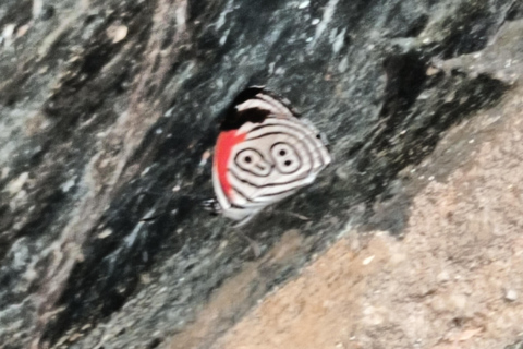 Wodospady Brazylii i Argentyny: jednodniowa wycieczka.Wodospady w Brazylii i Argentynie: jednodniowa wycieczka. .