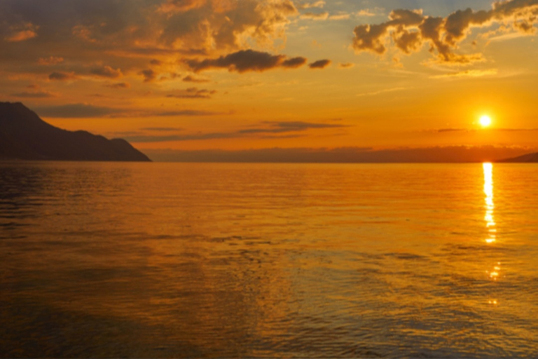 Geneva: Private Boat Cruise with Optional Fondue Private Boat day Lake Geneva (2h)