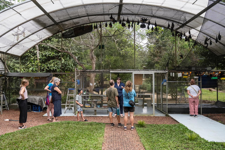 Atherton: Bat Sanctuary Tour with Guide