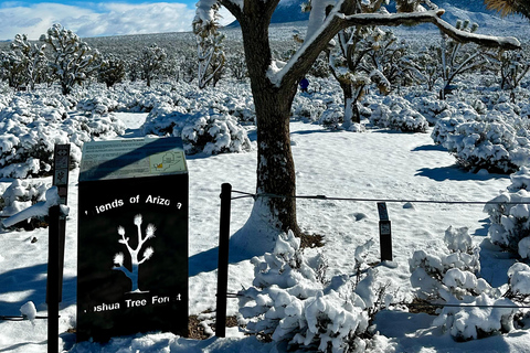 Las Vegas: Small-Group Grand Canyon Skywalk, Hoover Dam Tour