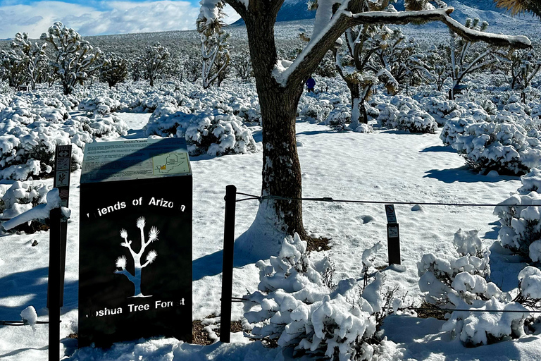 Las Vegas: Small-Group Grand Canyon Skywalk, Hoover Dam Tour