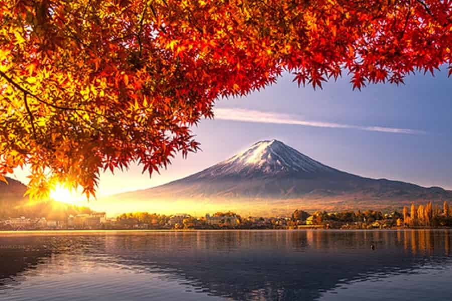Von Tokio aus: Mount Fuji Top 4 Must-Visit Attraktionen Tagestour. Foto: GetYourGuide