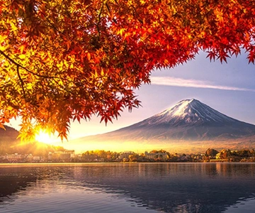 From Tokyo:Mount Fuji Top 4 Must-Visit Attractions Day Tour