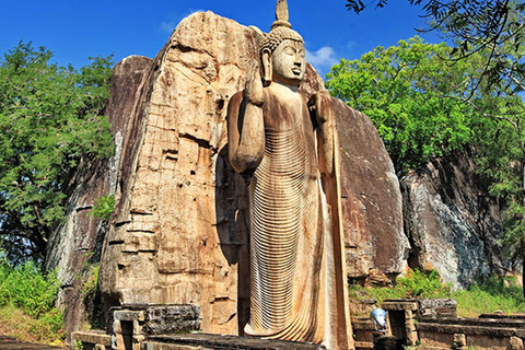 From Anuradhapura To Sigiriya Transfer with Sightseeing Stop
