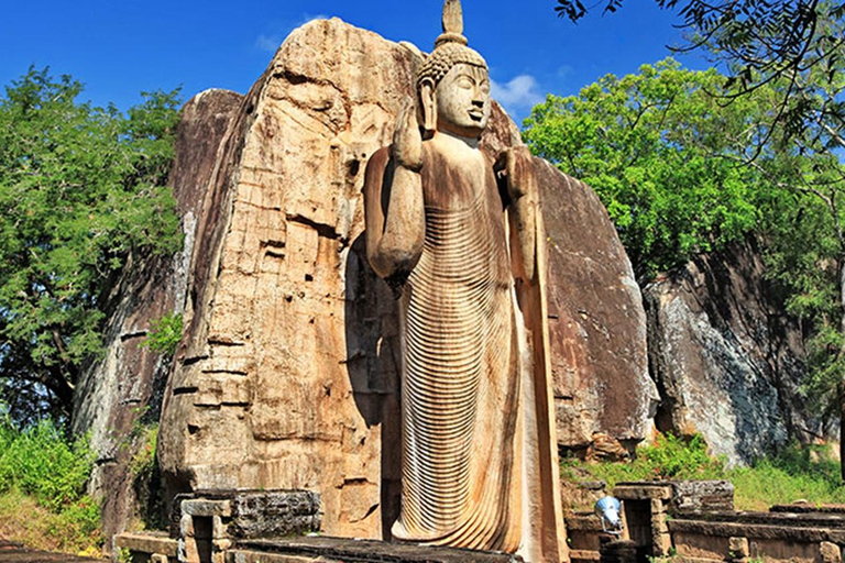 From Anuradhapura To Sigiriya Transfer with Sightseeing Stop