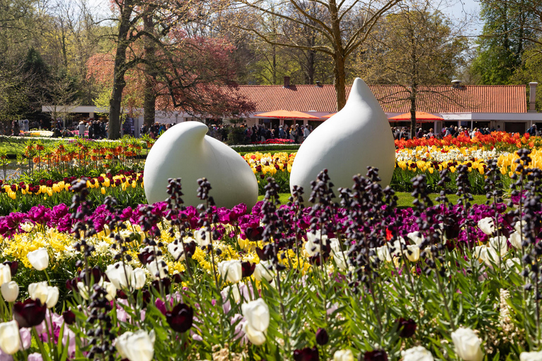 From Rotterdam: Luxury Bus Tour with Keukenhof Ticket