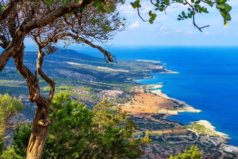 La vraie Chypre : Visite privée en bus avec guide de la régionLa vraie Chypre : Visite privée en minibus avec guide local