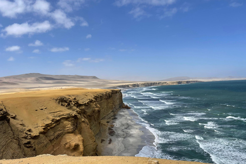 2D/1N PARACAS HUACACHINA FRÅN LIMA