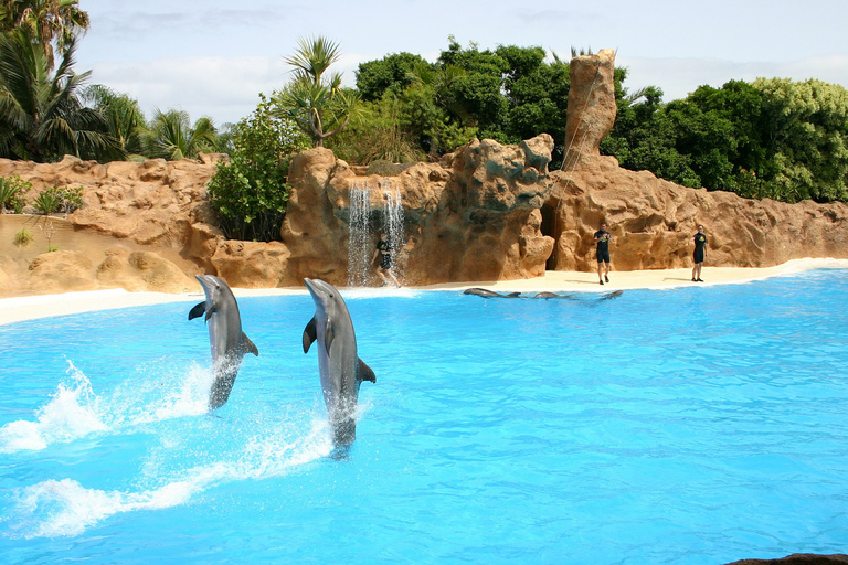 Alanya: tour del parco dei delfini di Sealanya con spettacolo di delfini