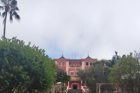 Tour guidato a piedi a La Orotava, Tenerife