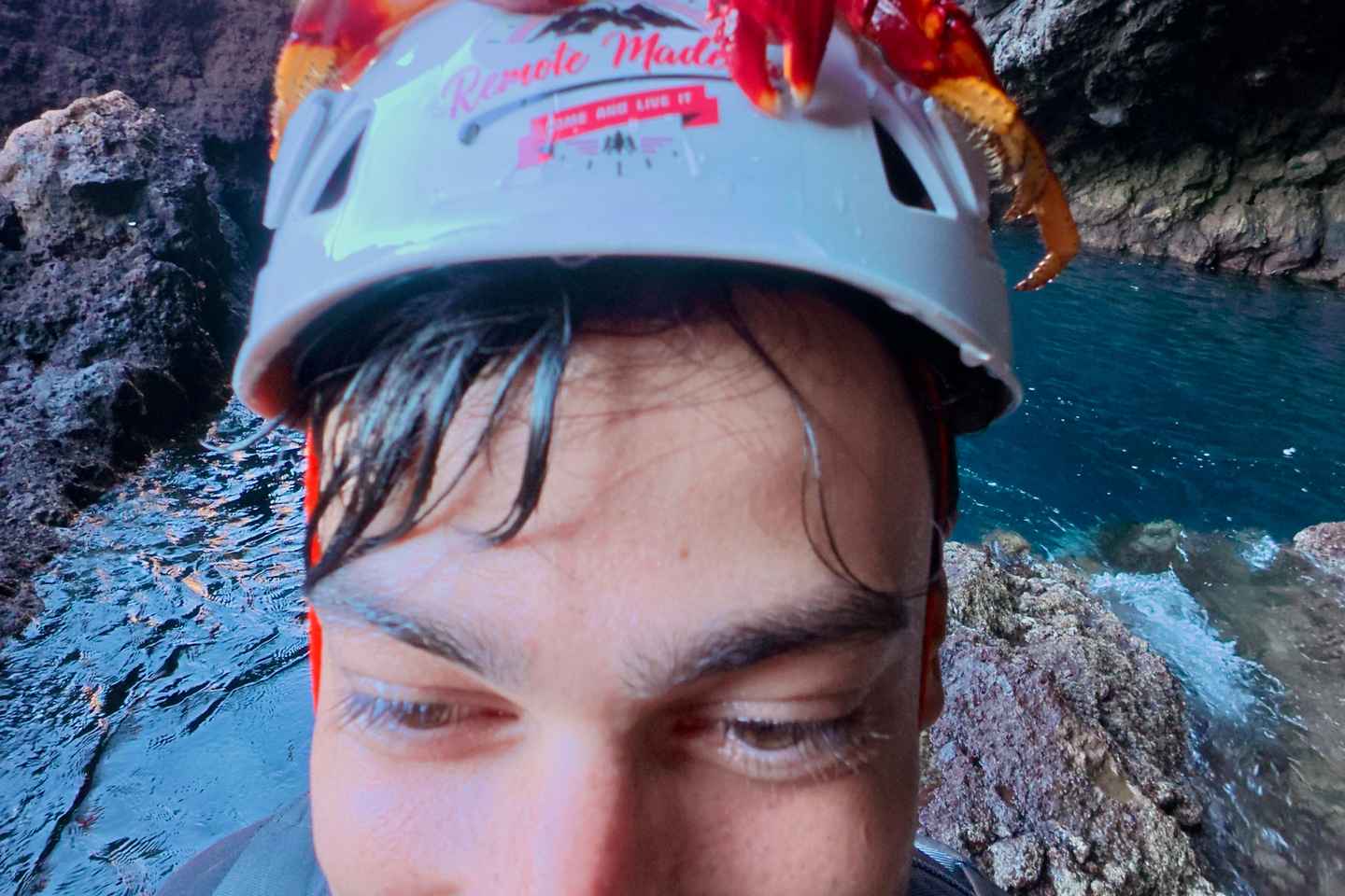 Madeira: Coasteering Adventure with Snorkeling, w/pick-up