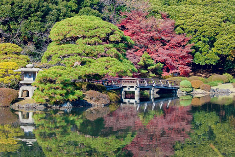 Tokyo: Shinjuku Gyoen National Garden Guided Walking Tour Small Group Tour