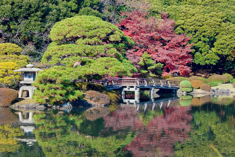 Tokyo: Shinjuku Gyoen National Garden Guided Walking Tour Small Group Tour