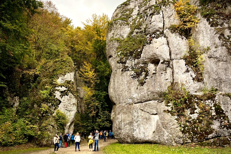 Desde Cracovia: Parque Nacional Ojców y Tour Privado Ogrodzieniec