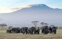 11 Days Best Kenya Budget Camping Safari Package - Housity