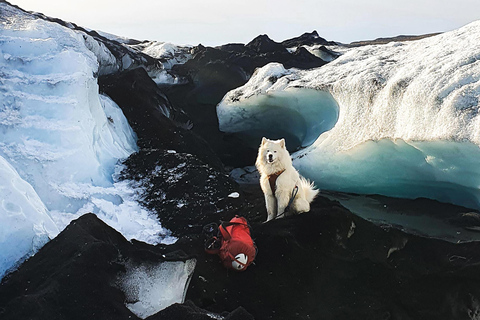 Reykjavík : forfait randonnée et escalade d’un glacierRandonnée et escalade du glacier sans transport