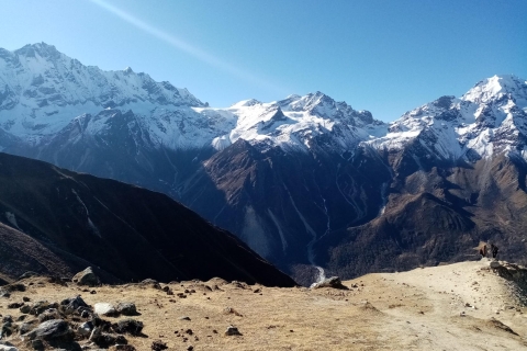 Pokhara: 7-dniowa wędrówka po dolinie Langtang