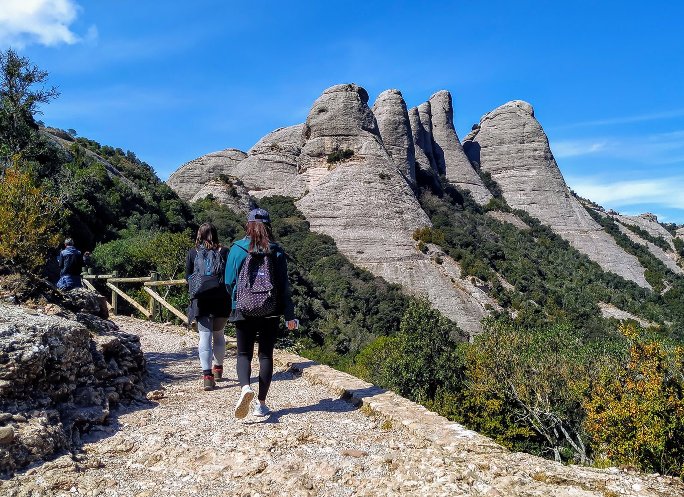 Fra Barcelona: Montserrat-bjergvandring og klostertur