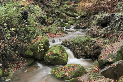 Mullerthal & Wolf's Gorge: Rock Walk with Clifftop Champagne