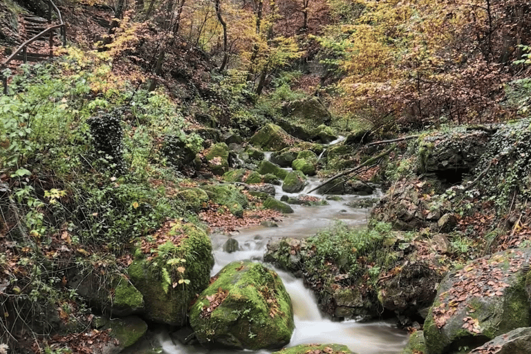 Mullerthal & Wolf's Gorge: Rock Walk with Clifftop Champagne