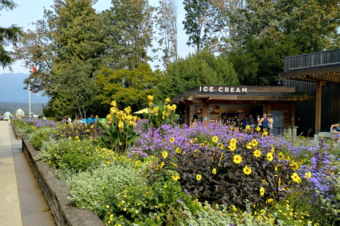 Stanley Park Car Tour: Comfort&amp;Cheaper Than Bike Rental/Tour