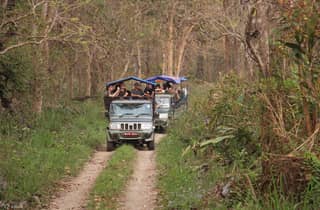 Chitwan: 1-Nacht-Dschungelsafari mit Transfers von Kathmandu
