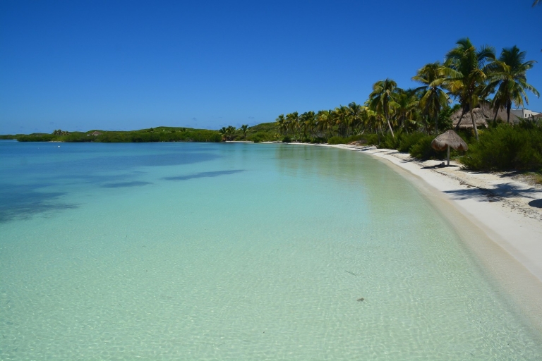 Desde Riviera Maya: tour de día completo a Isla Contoy e Isla MujeresRecogida desde Cancún