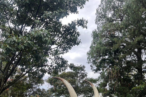 Kigali: Tour cultural por el palacio real, el museo y el memorial.Kigali: Visita cultural al palacio real, el museo y el memorial