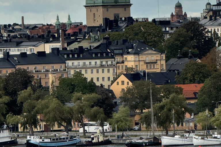 Stockholm: Millennium Trilogy Walking Tour