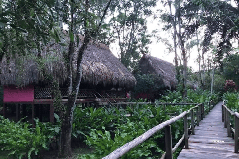 San Cristobal: Tour del caffè nelle montagne del Chiapas