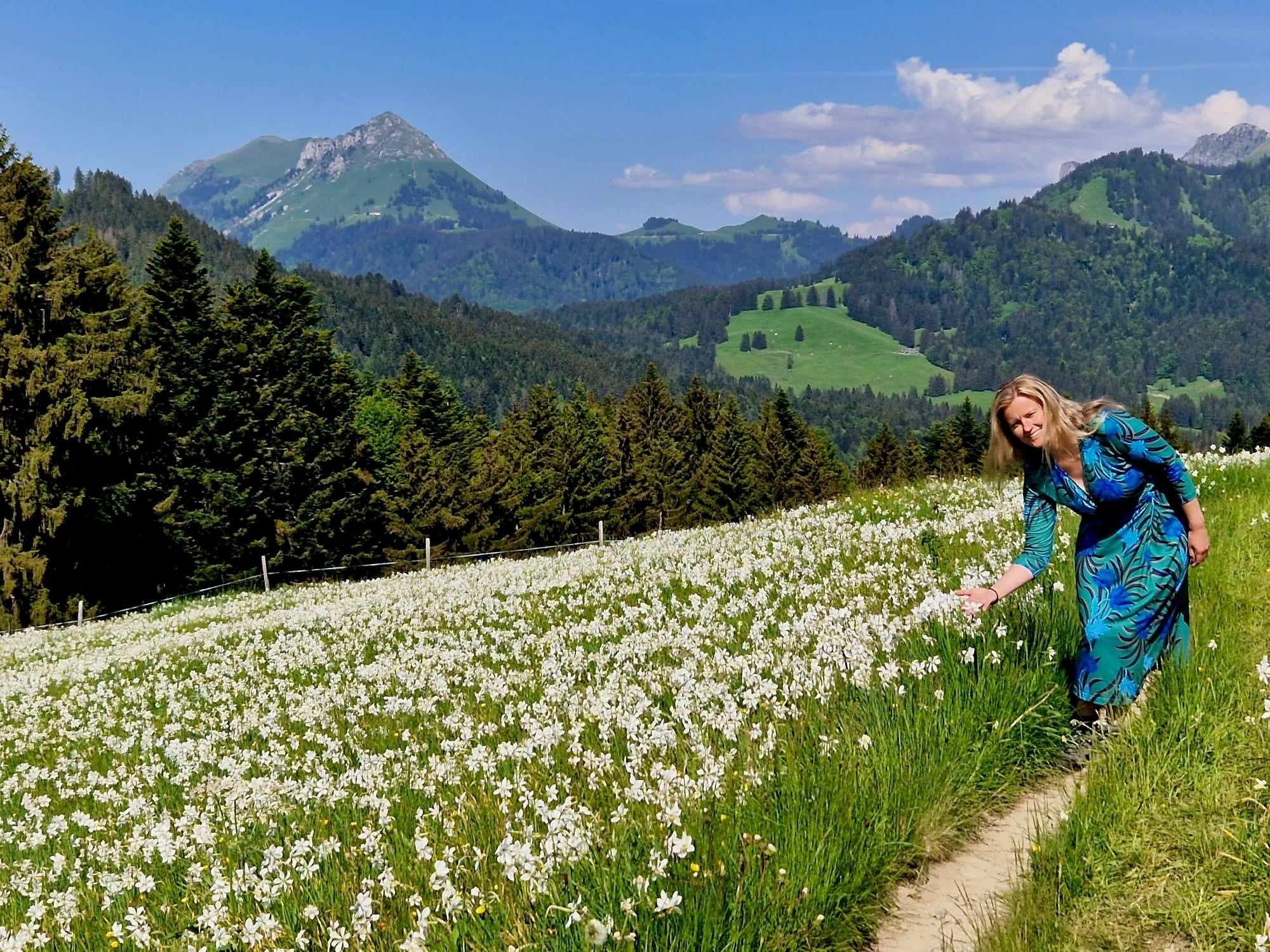 Montreux: Wanderung mit Guide zur Maischnee-Narzissenblüte