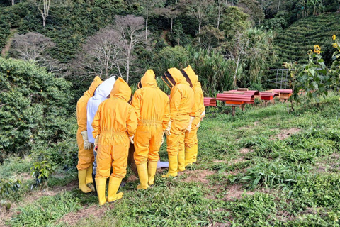From Medellín: Honey Tour, Visit the Bees