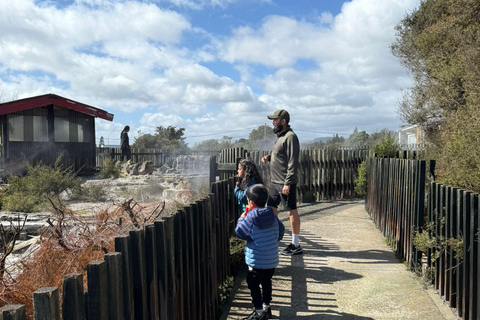 Auckland: Rotorua Te Puia & Maori Village Tour with Haka