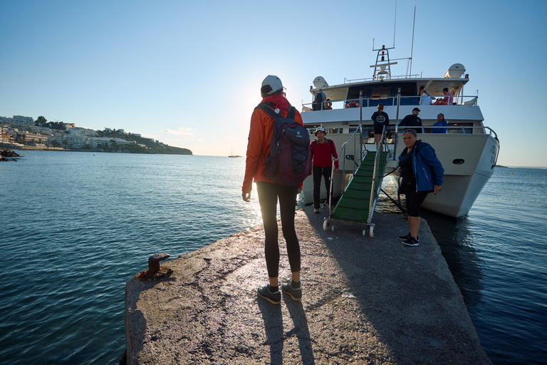 Ibiza: Formentera Boat and Bike Guide Tour +Sunset Party Gold Edition: Formentera Bike & Boat Adventure from Ibiza