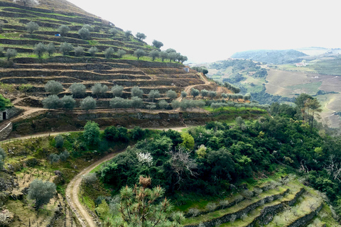 Porto to Douro Valley Private tour in a 4x4 like a native Privat tour Offroad Douro Valley