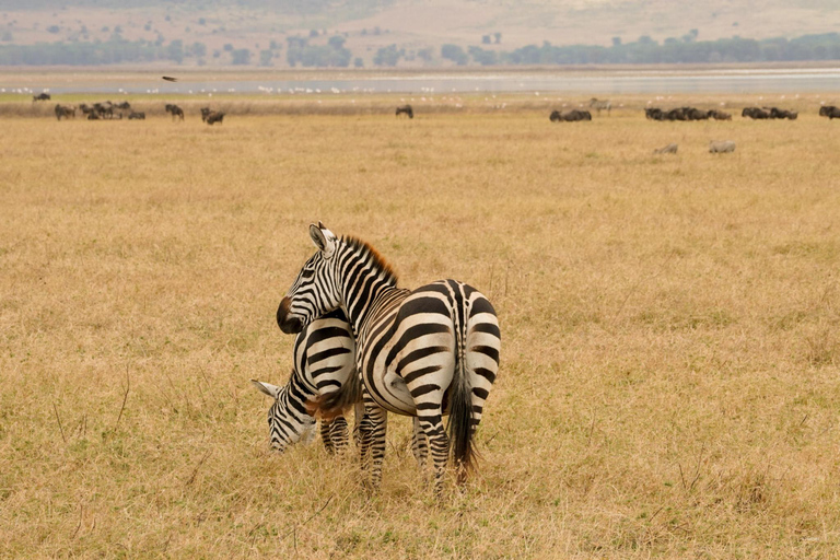 4 Days Tarangire, Serengeti, Ngorongoro Group Camping Safari