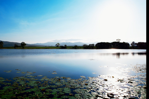 Mackay: 3 Hour Sugarcane Farm Tour
