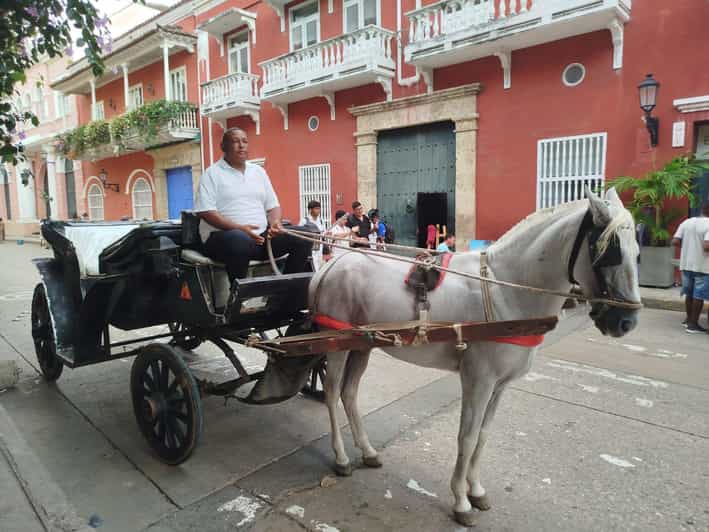 Galería de fotos para redes