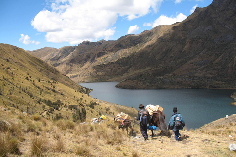 Huaraz: 8-dagars Alpamayo vandringsexpedition