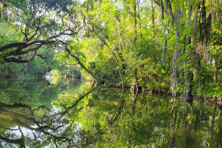 From Orlando: Wild Florida Kayak Tour on the Dora Canal