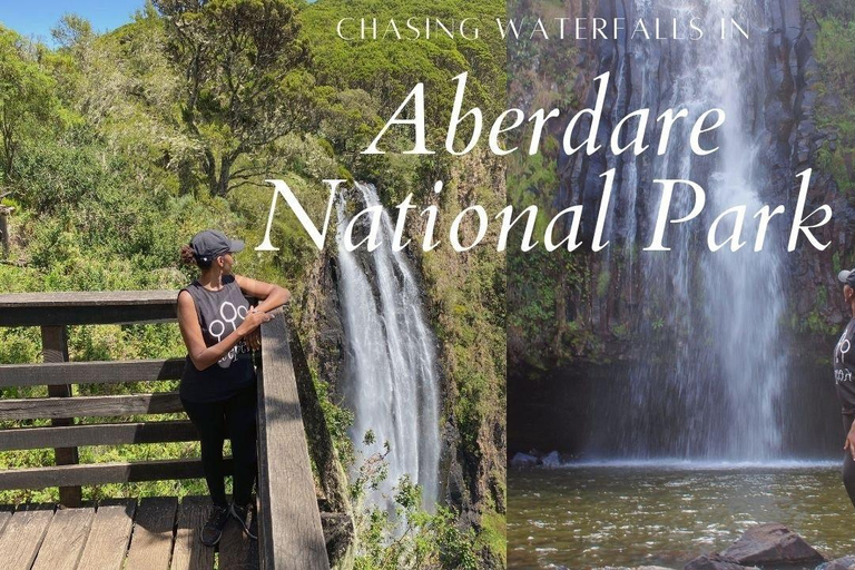 Aberdare National Park Day Excursion From Nairobi Aberdares National Park Day tour From Nairobi