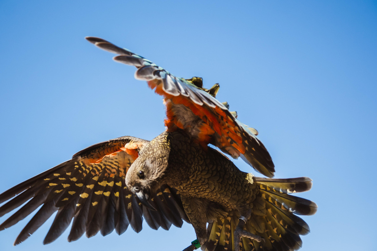 Te Anau: Kepler Track Helicopter Hike with Boat Ride