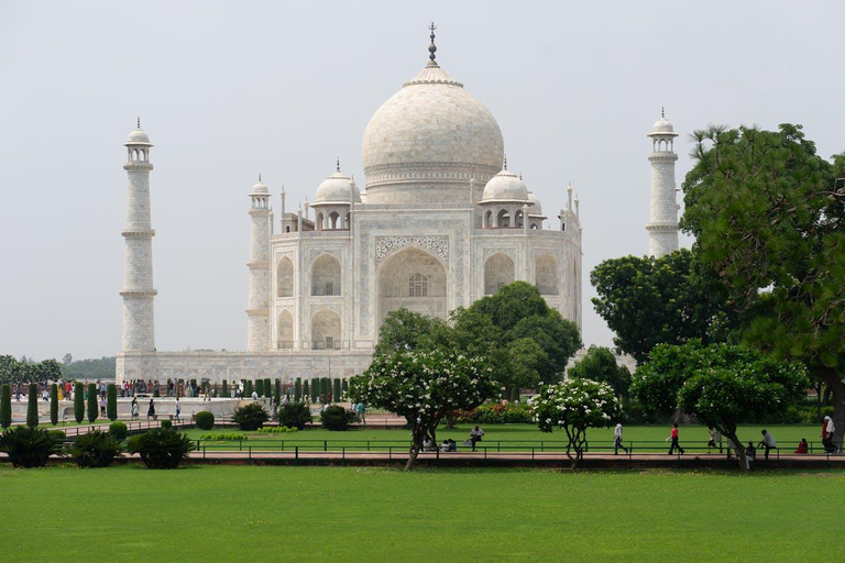 Z Delhi: Wschód słońca w Taj Mahal i wycieczka SOS dla słoni i niedźwiedziWycieczka prywatna bez biletów wstępu i śniadania lub lunchu