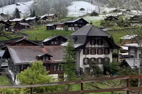 Private Scenic Swiss Alps Tour: Zurich Interlaken Lauterbrun