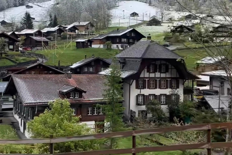 Private Scenic Swiss Alps Tour: Zurich Interlaken Lauterbrun