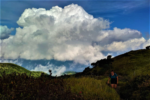 Von Yogyakarta aus: Berg Merbabu TageswanderungMount Merbabu Tageswanderung