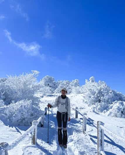 Jeju: Hallasan National Park Begeleide Sneeuwklim (5 uur met uitrusting)